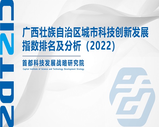 草逼抽插内射视频【成果发布】广西壮族自治区城市科技创新发展指数排名及分析（2022）